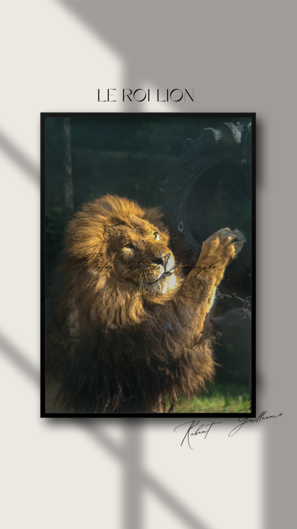 Le Roi Lion