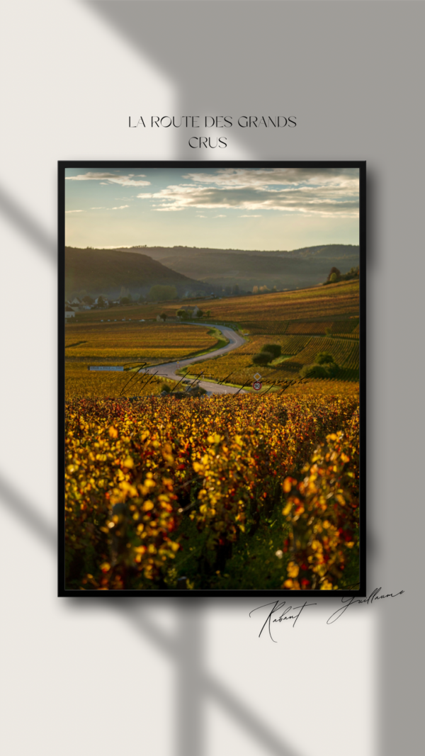 La route des grands crus