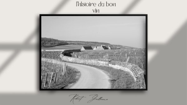 Évasion au Clos de Vougeot