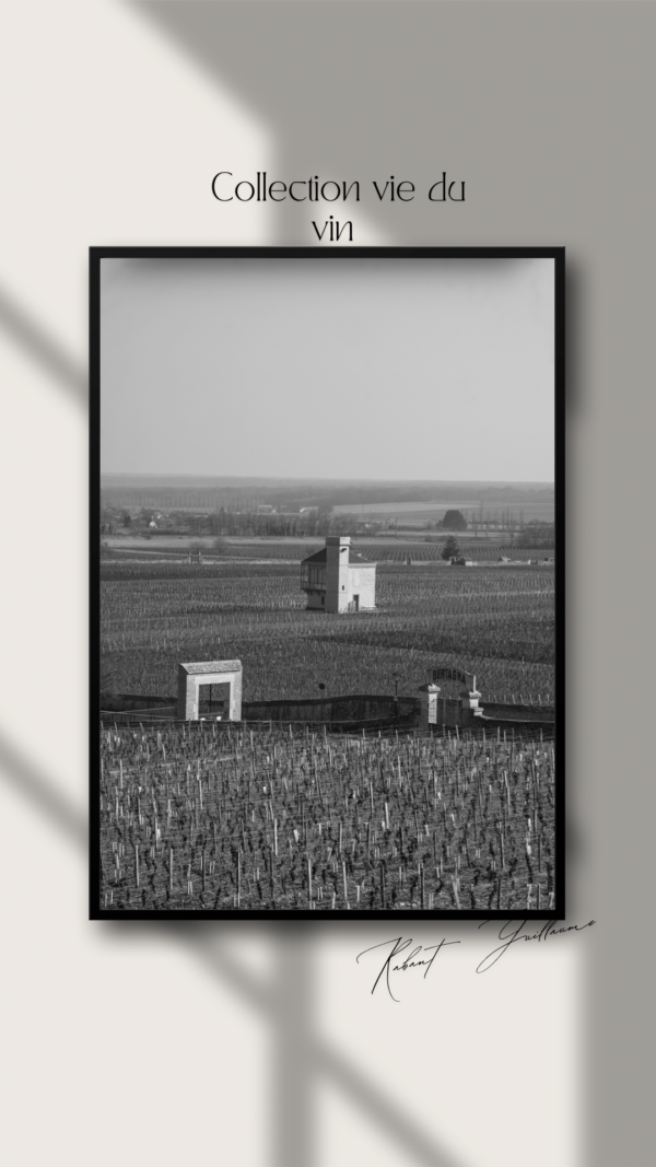 Le Vignoble des Grands Crus du Clos de Vougeot
