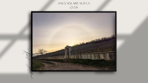 Halo solaire sur un clos